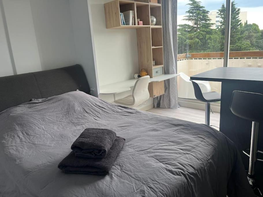Le Studio - Parking & Balcon ตูลูส ภายนอก รูปภาพ